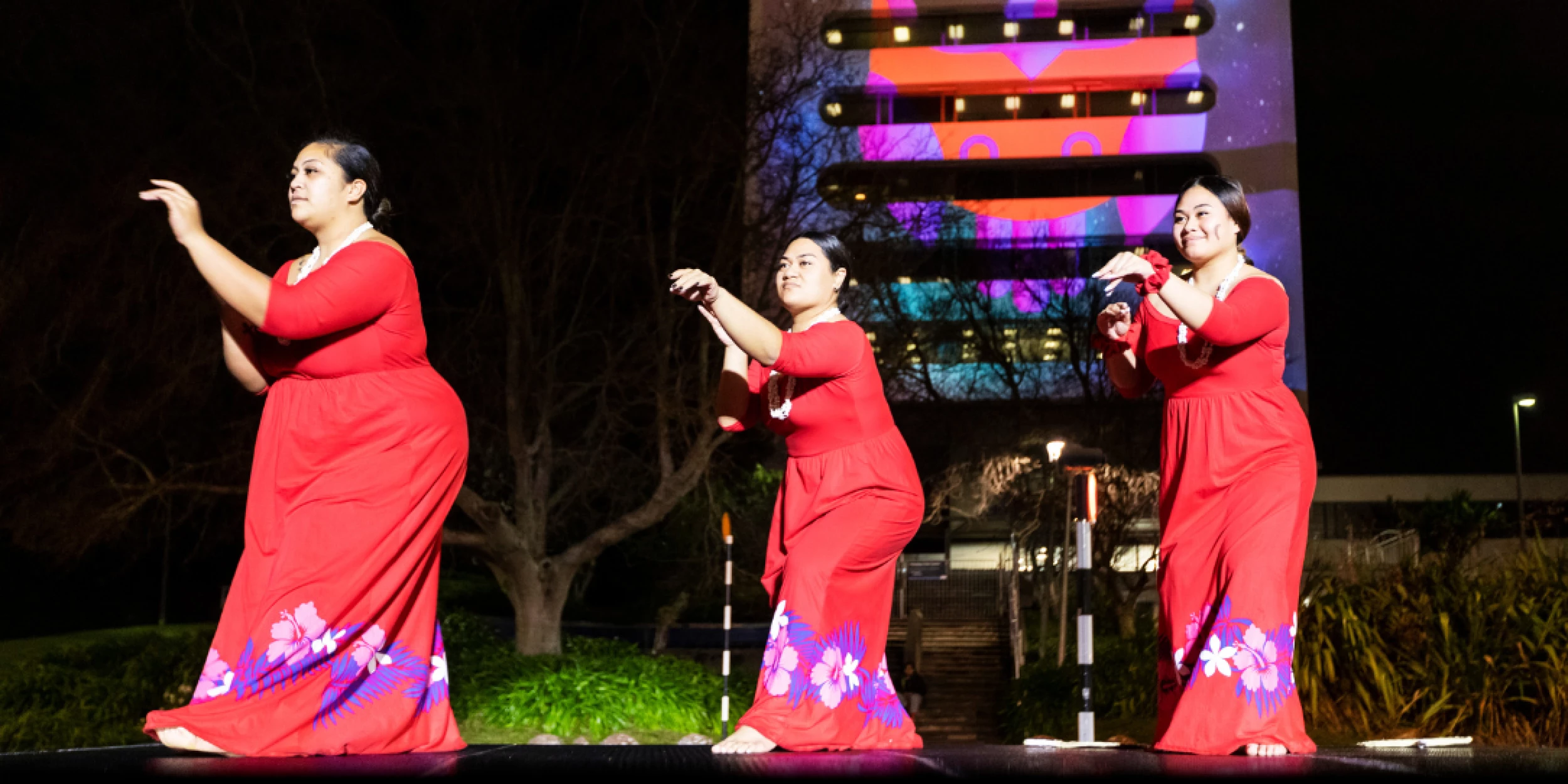 Ateed Cultural event in Counties Manukau 1084x542 - Credit: AucklandNZ Brand Library