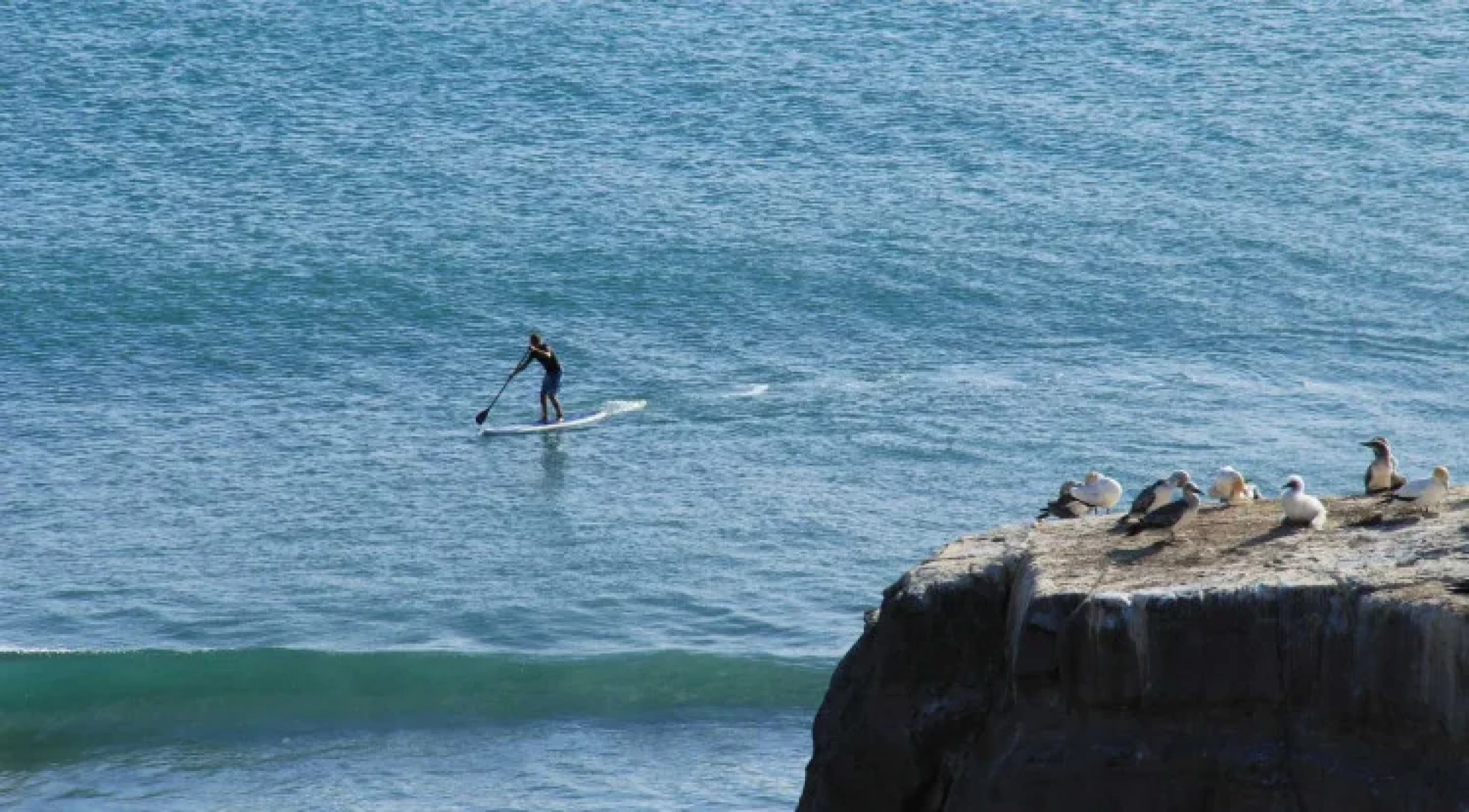 Standup paddle boarding in Piha - Credit: Bill Fairs, unsplash