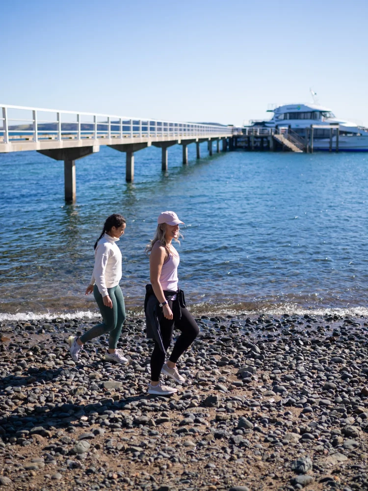 Tiritiri Matangi Island walk - Source: AucklandNZ.com