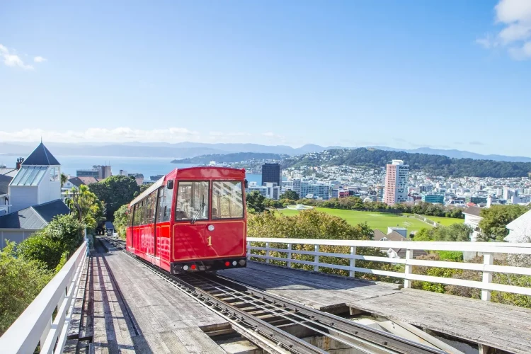 Capital Coast and Hutt Valley