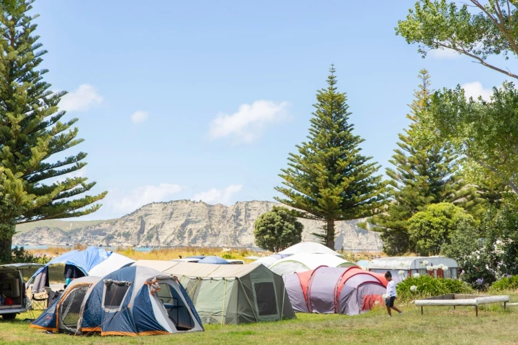 Tolaga bay camping - Credit: tairawhiti gisborne image library