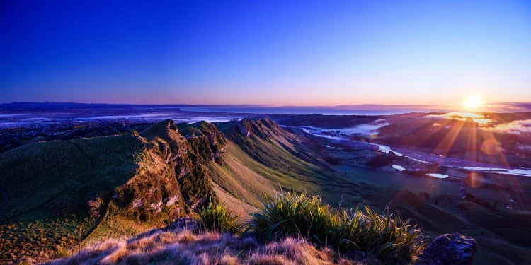 Te Mataua Maui HawkesBay