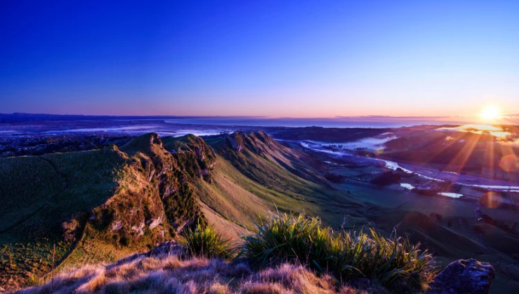 Te Mataua Maui HawkesBay