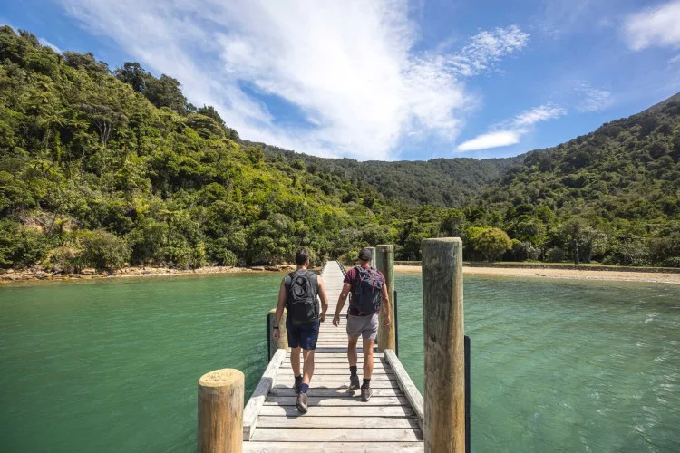 Queen Charlotte Track - Marlborough