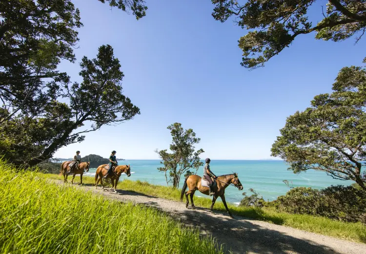 Te Tai Tokerau