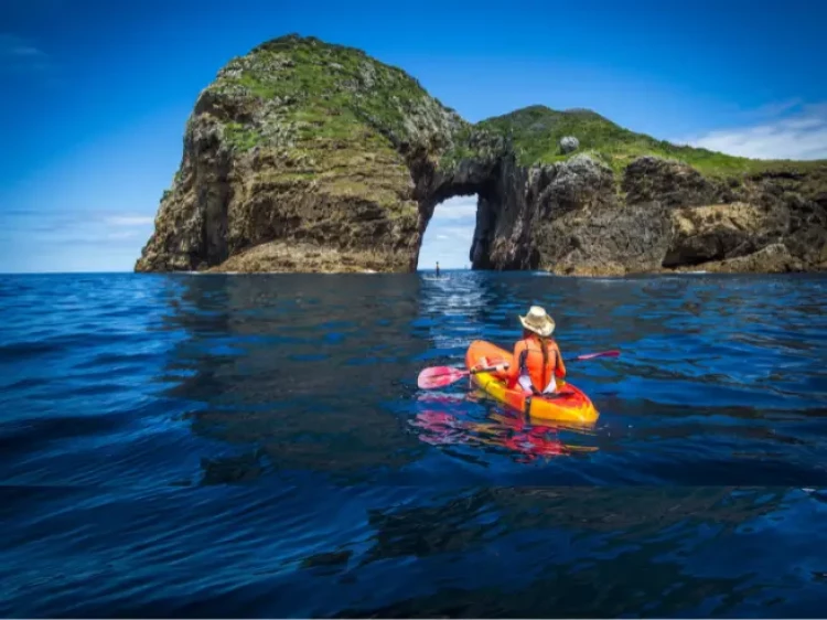 Poor Knights Islands Marine Reserve - Credit: David Kirkland