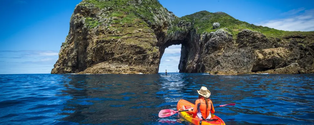 Poor Knights Islands Marine Reserve - Credit: David Kirkland