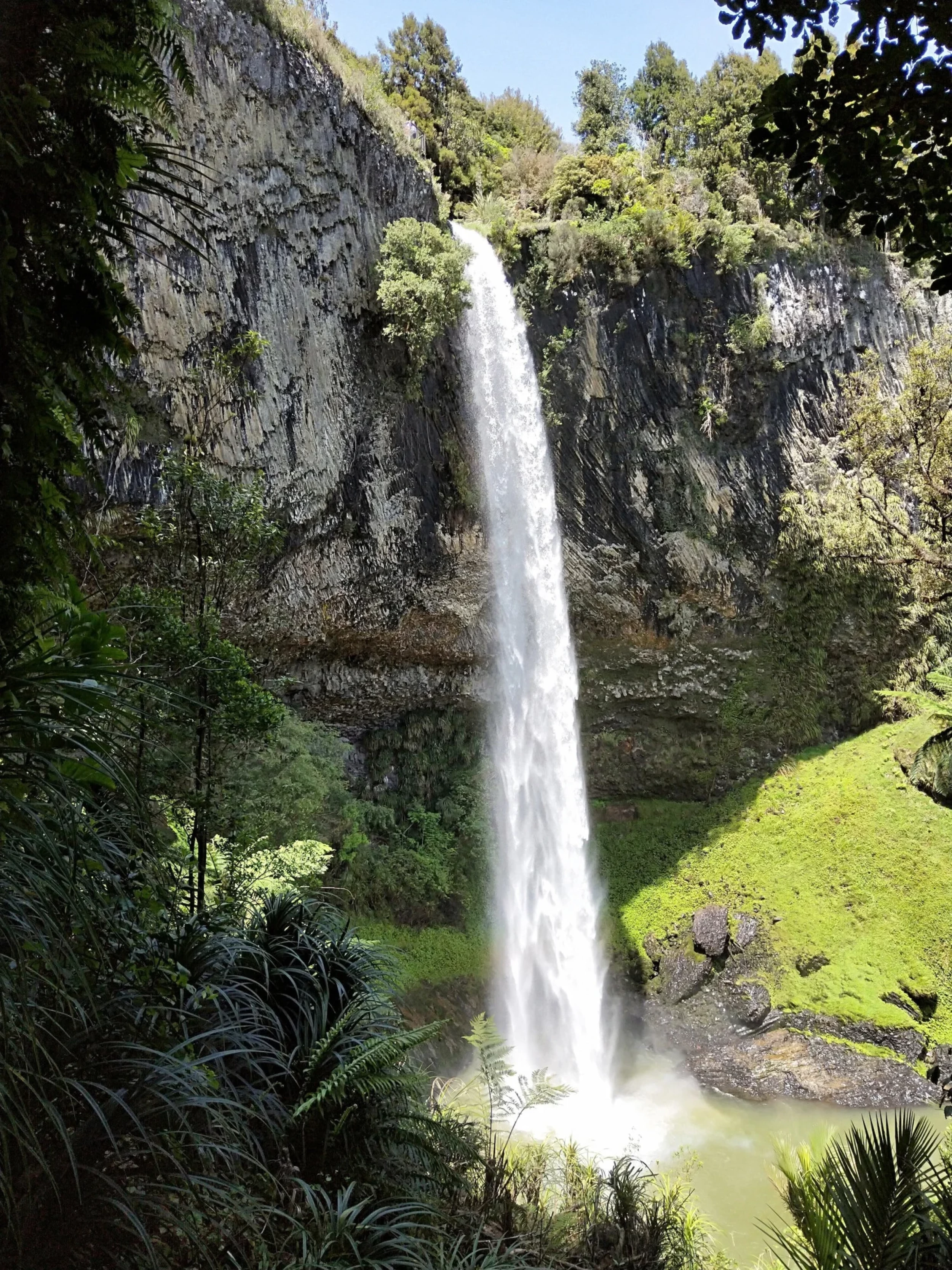 Bridal Veil Falls - Raglan - Source: Wim Hovens, unsplash