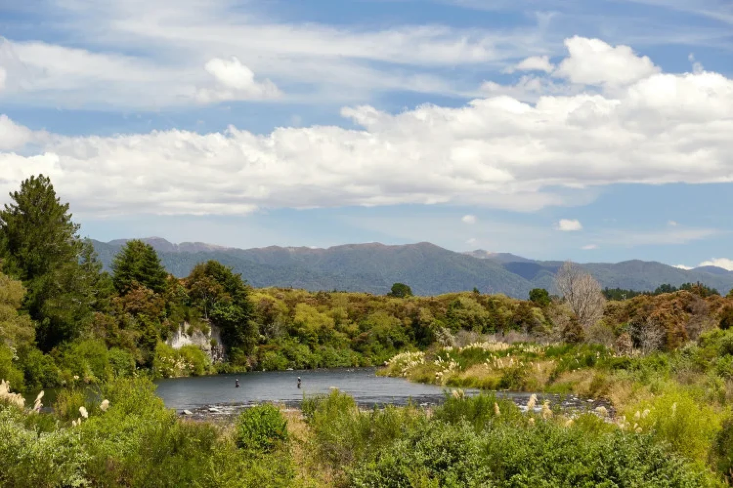 Waipakihi river - Credit: Adriel Kloppenburg, unsplash