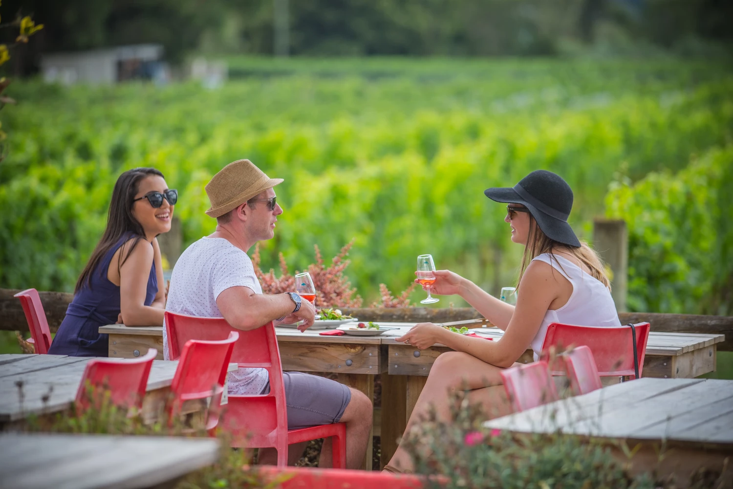 Dining alfresco in Martinborough with friends - Source: WairarapaNZ