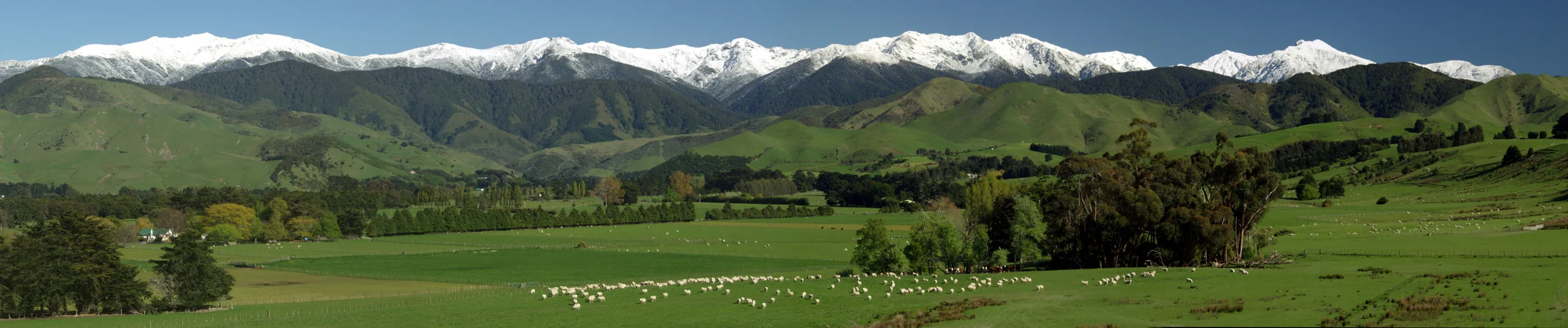 The Tararua ranges (panorama)