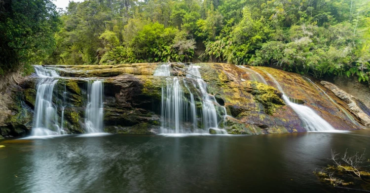 Coal Creek Falls, West Coast - Credit Nomad Audio Video