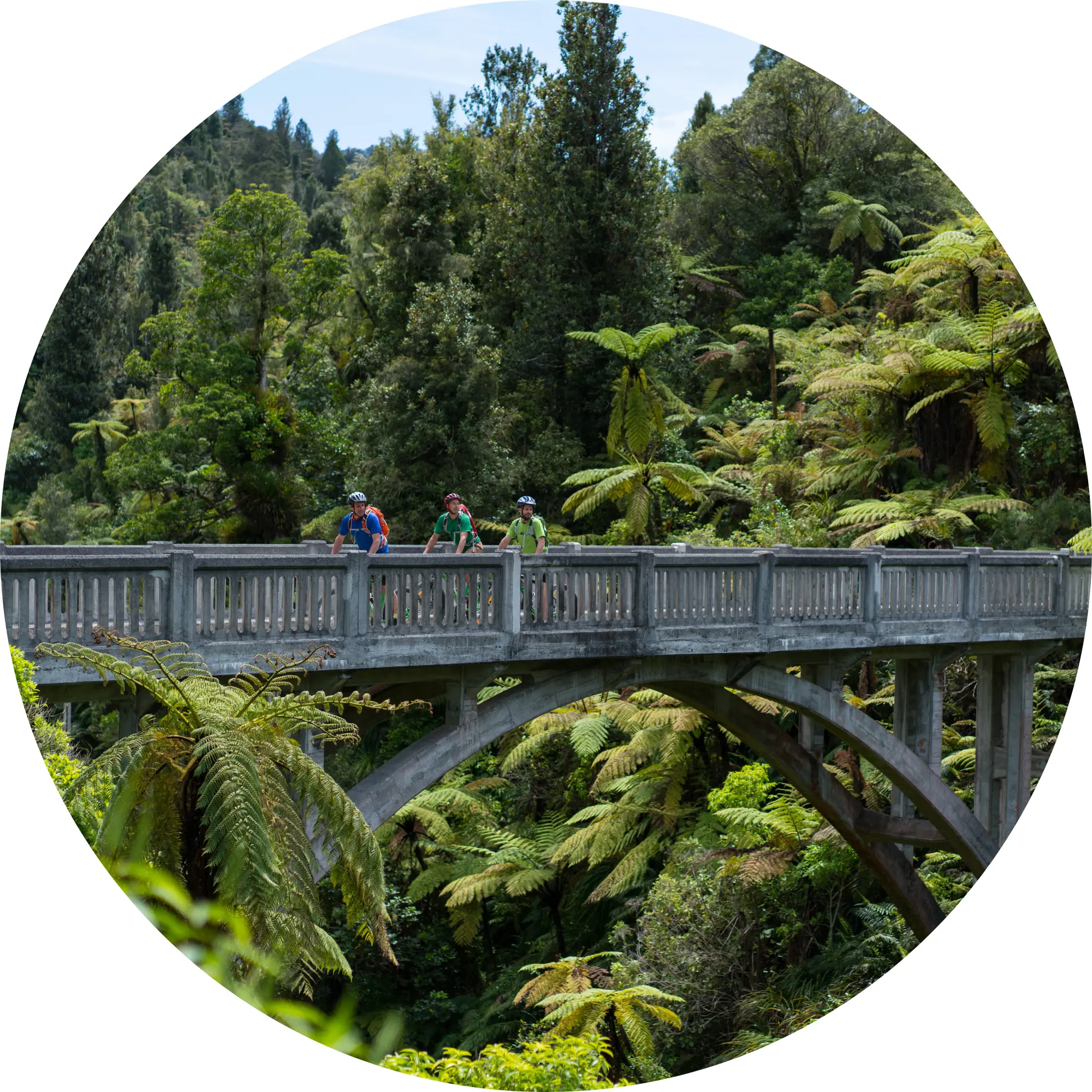 Whanganui national park Central Tourism New Zealand