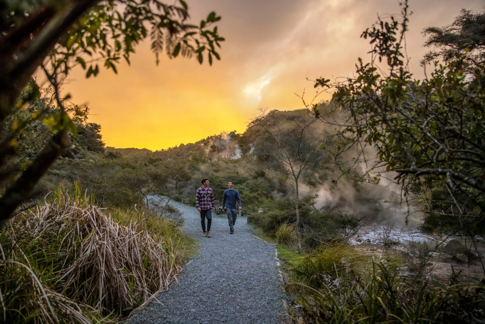 Waimangu volcanic valley - Credit: Miles Holden