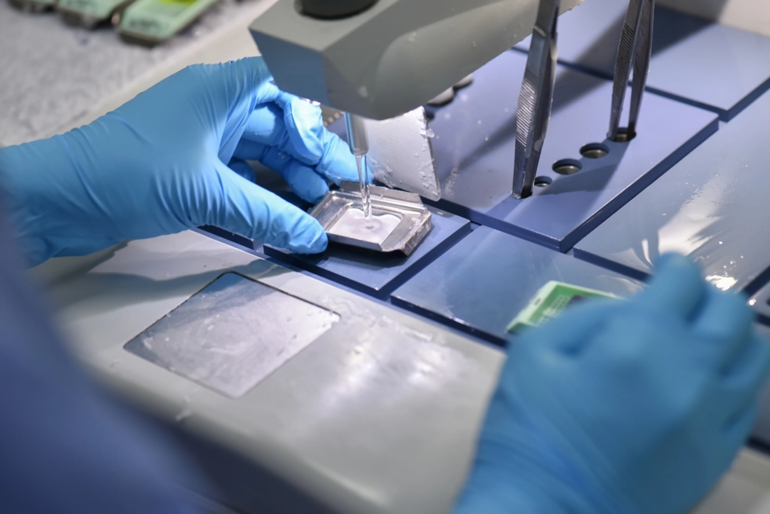 Pathologist close up of testing tools (stock image)