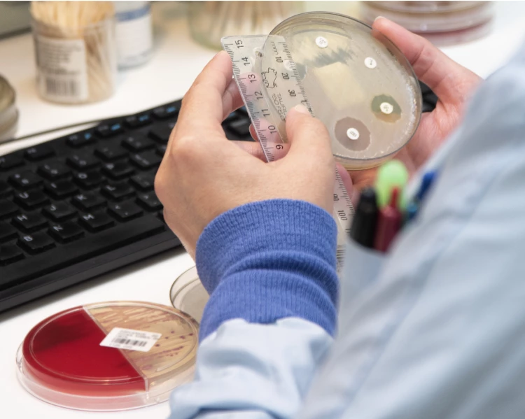 Pathologist - close up of testing procedure (stock image)