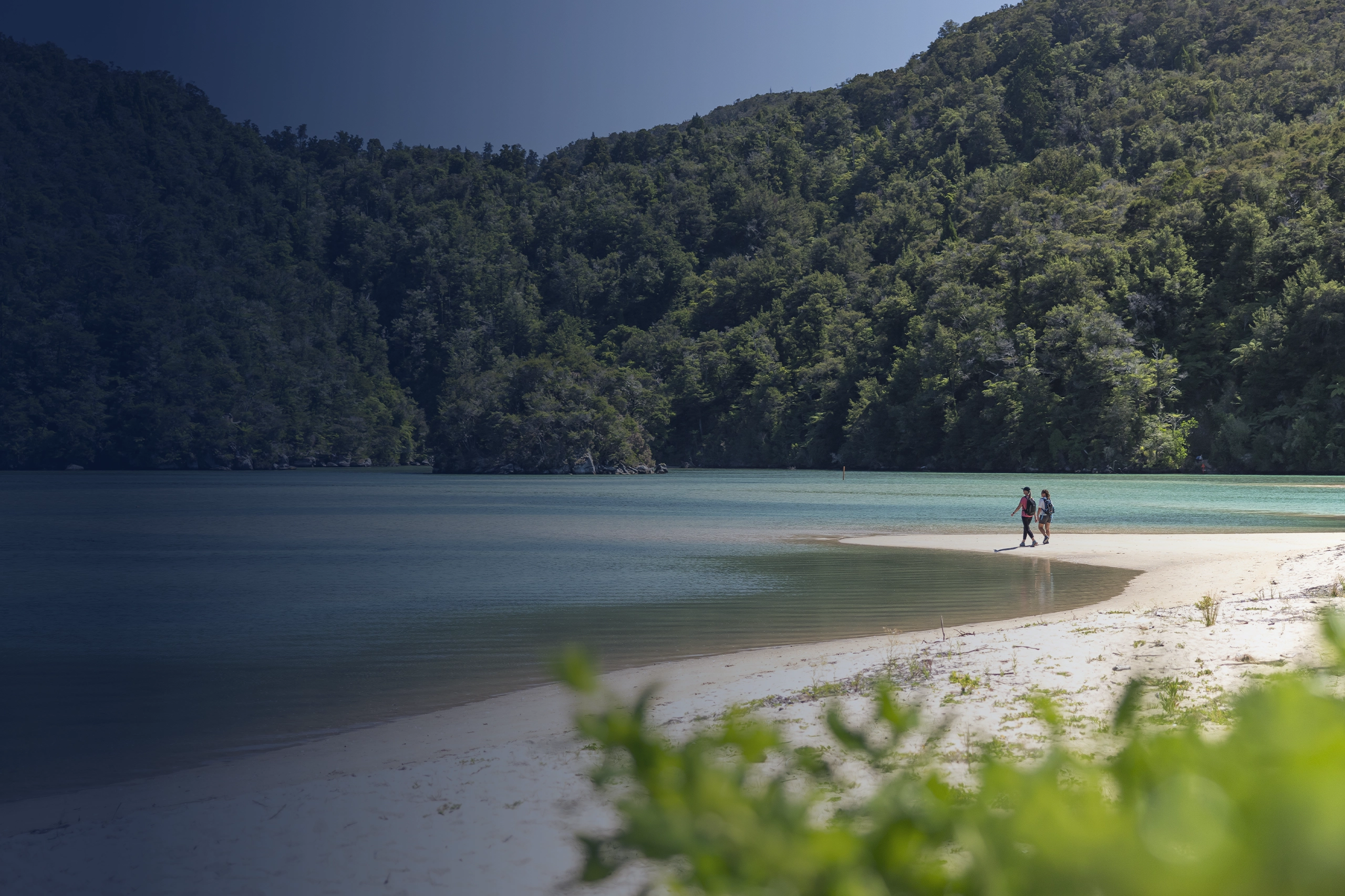 Abel Tasman Miles Holden