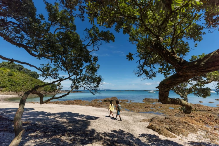 Tiritiri Matangi Auckland - Credit: Miles Holden