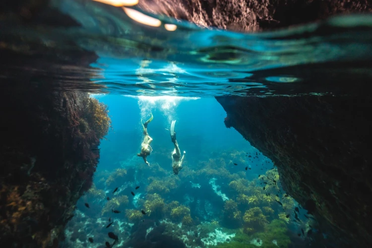 Poor Knights Islands, Northland - Credit: Miles Holden