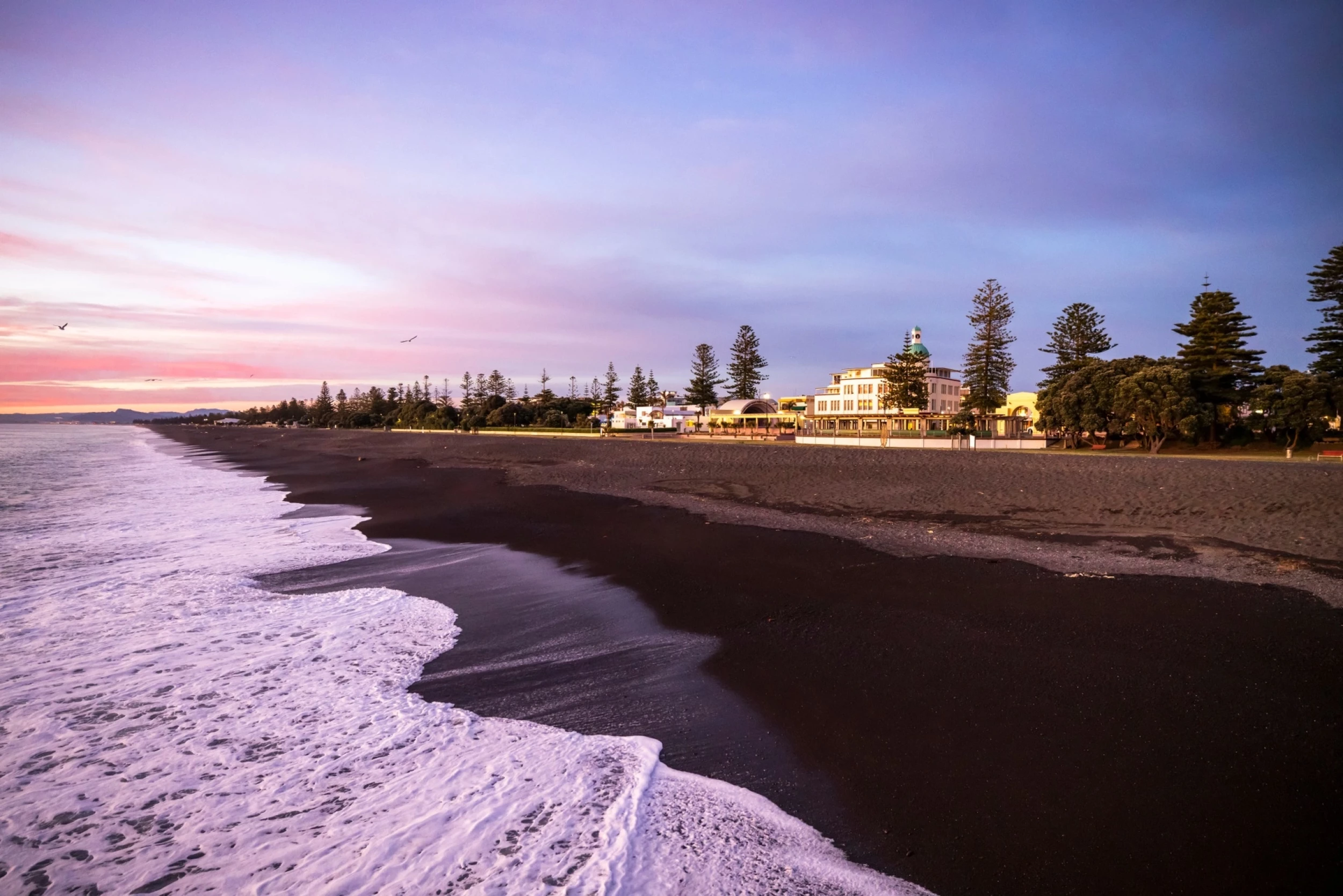 Napier - Credit: Graeme Murray