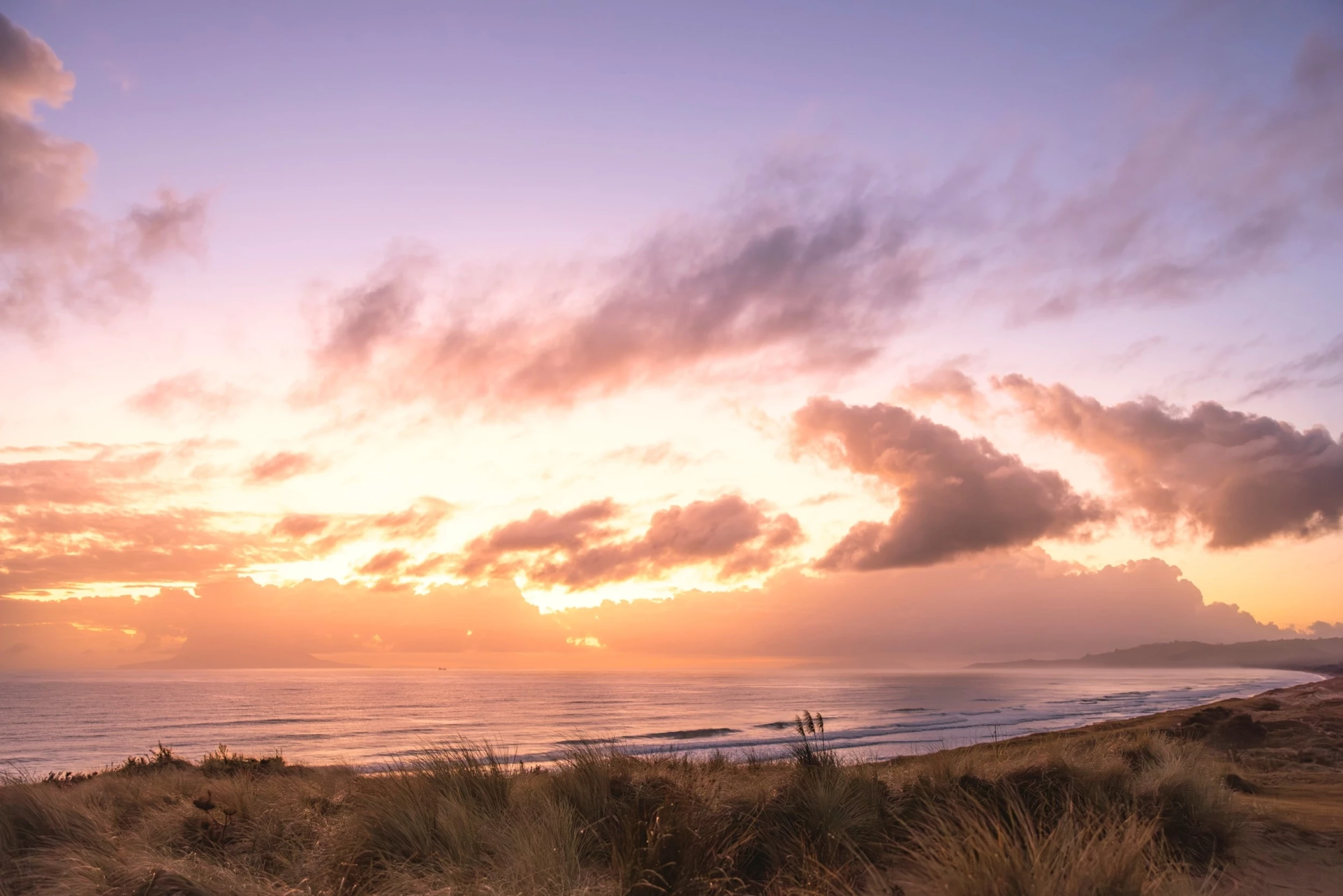 Te Arai, Auckland - Credit: Miles Holden