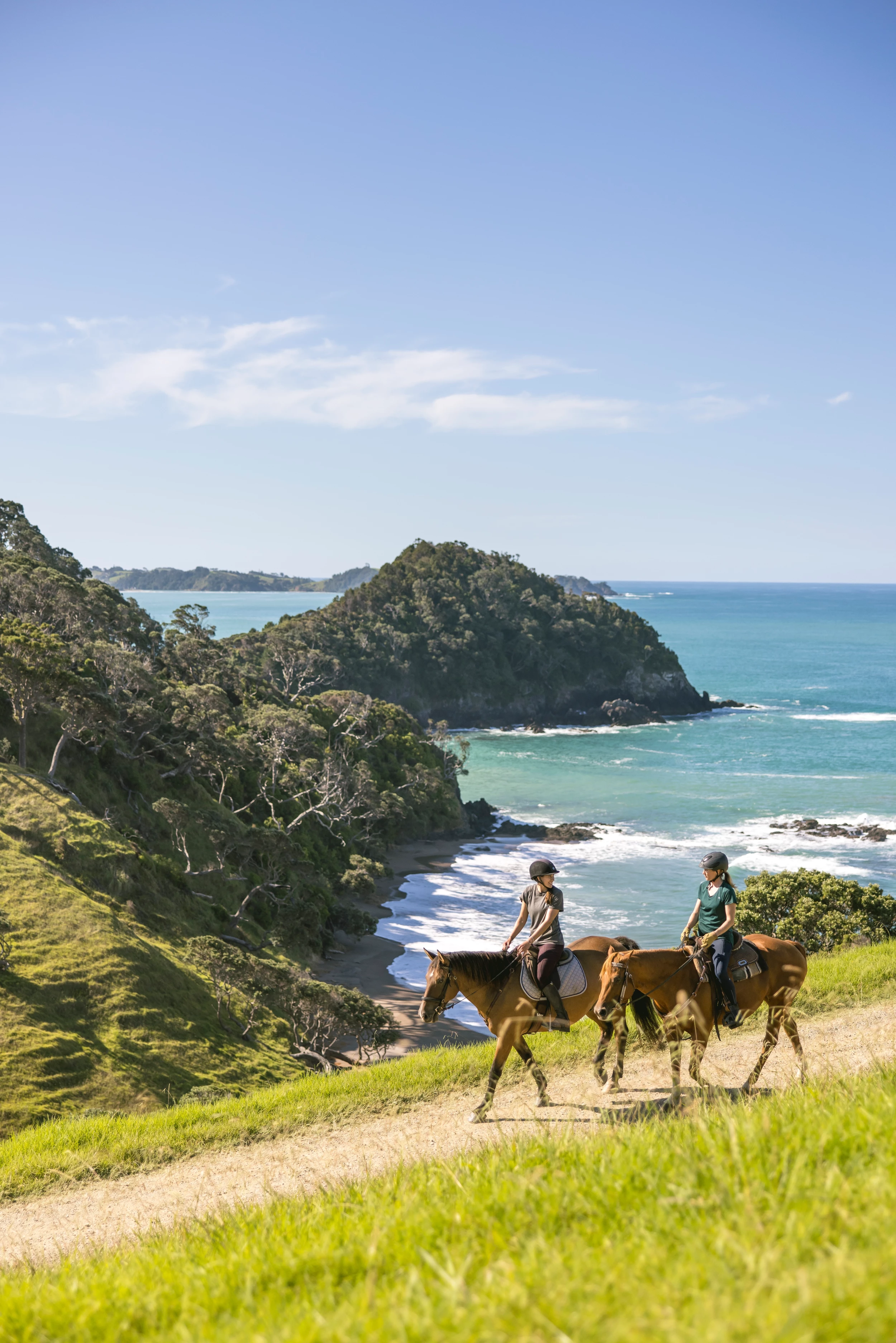 Matapōuri, Northland - Credit:Miles Holden