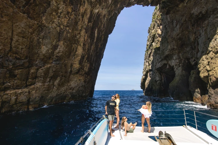 Poor Knights Islands, Northland - Miles Holden