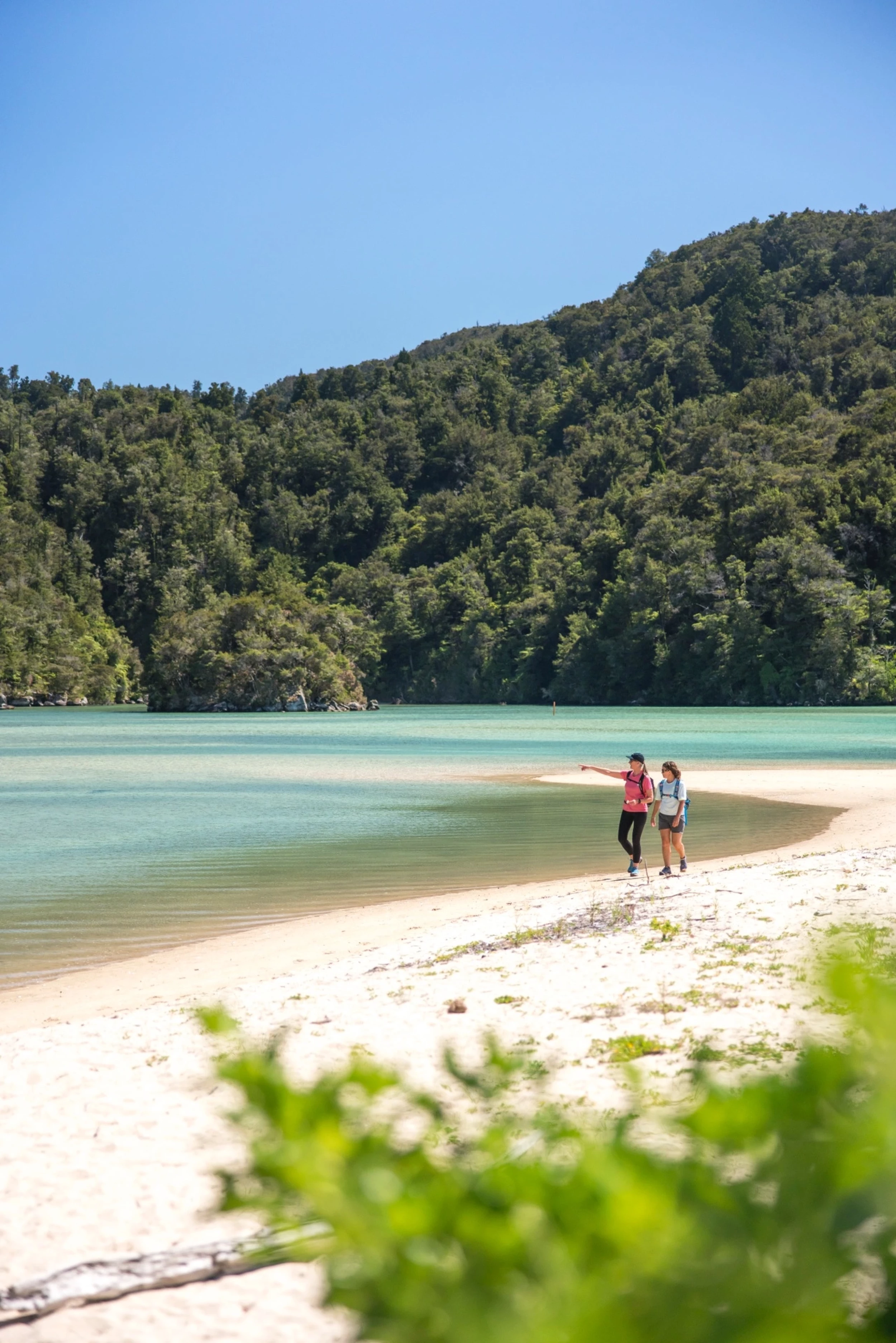 Abel Tasman National Park Beach, Nelson - Miles Holden