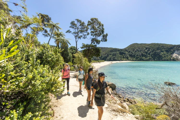 Abel Tasman Miles Holden