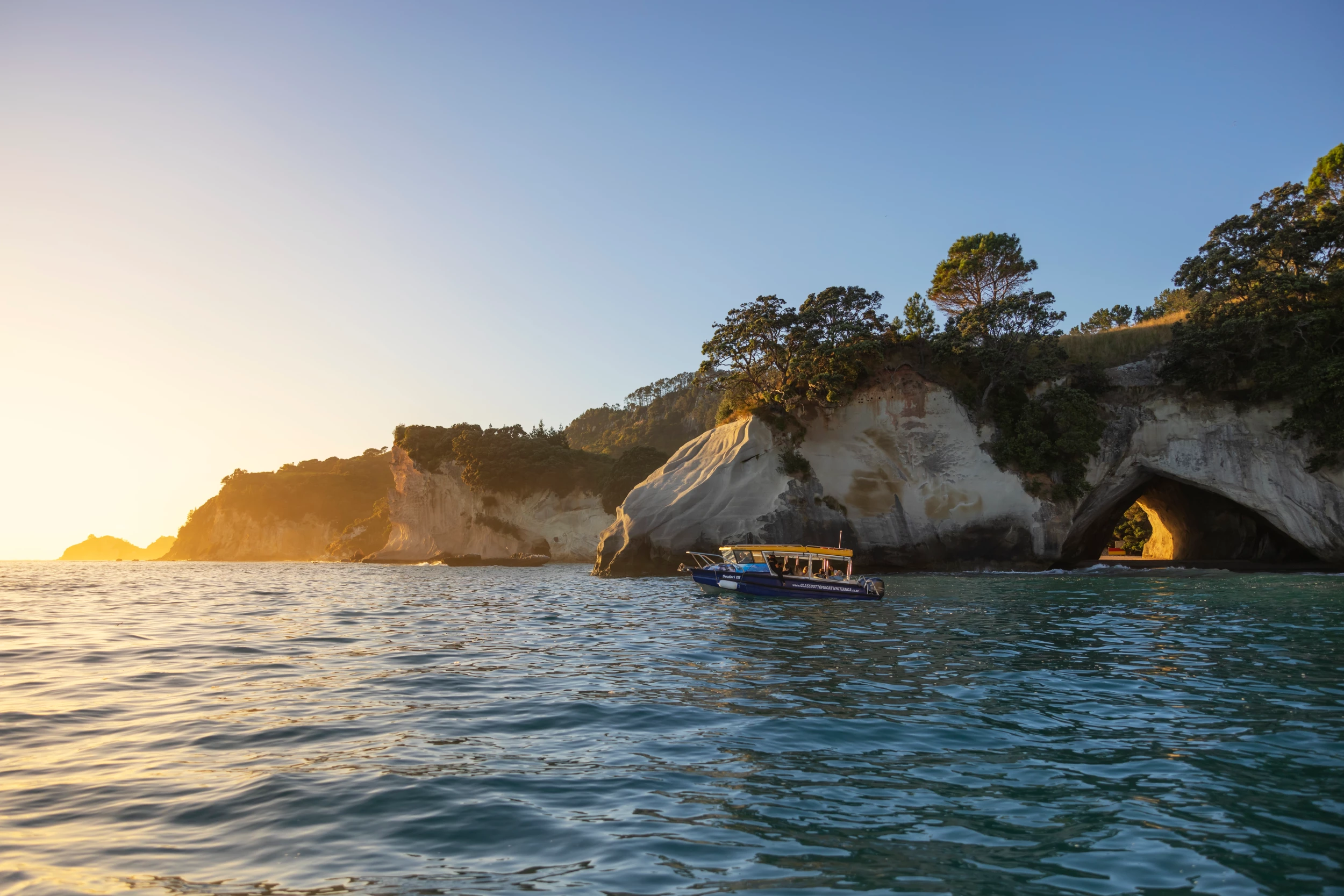 Coromandel Waikato Miles Holden