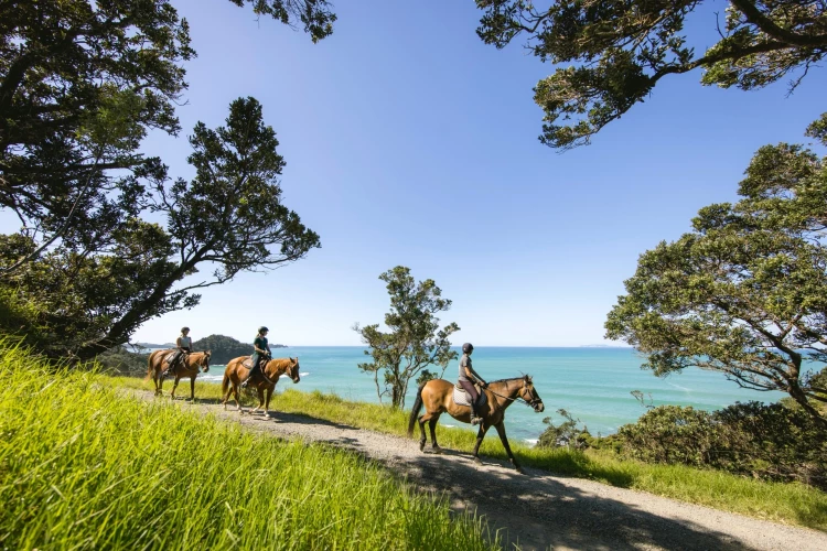 Matapouri, Northland - Miles Holden